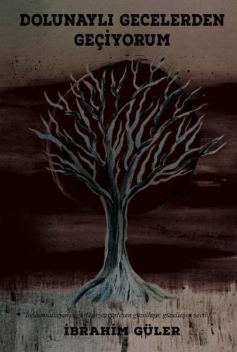 Dolunaylı Gecelerden Geçiyorum