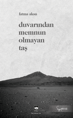 Duvarından Memnun Olmayan Taş | Kitap Ambarı