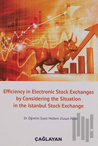 Efficiency in Electronic Stock Exchanges by Considering the Situation in the Istanbul Stock Exchange