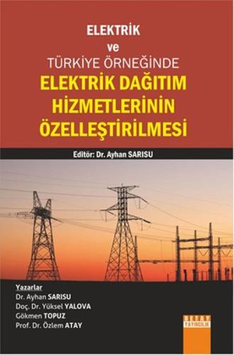 Elektrik Dağıtım Hizmetlerinin Özelleştirilmesi | Kitap Ambarı