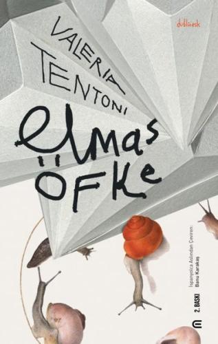 Elmas Öfke | Kitap Ambarı