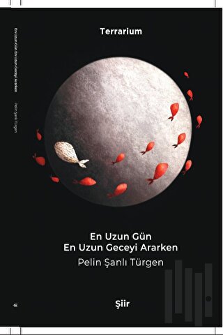En Uzun Gün En Uzun Geceyi Ararken