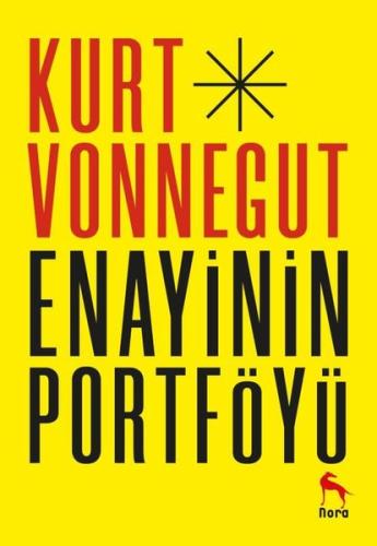 Enayinin Portföyü | Kitap Ambarı