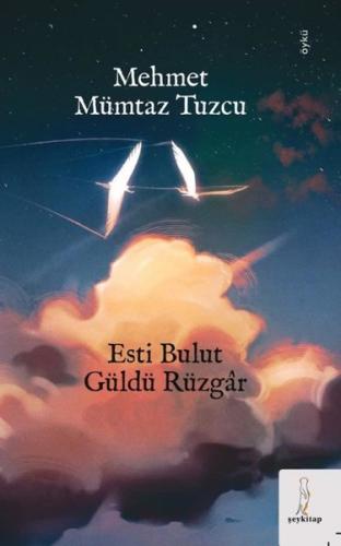 Esti Bulut Güldü Rüzgar | Kitap Ambarı