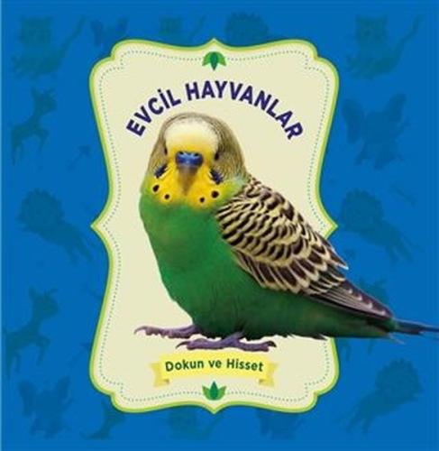 Evcil Hayvanlar - Dokun ve Hisset (Ciltli)