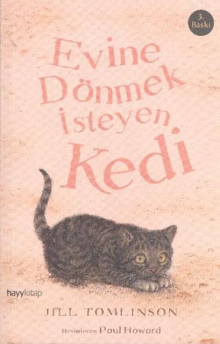 Evine Dönmek İsteyen Kedi | Kitap Ambarı