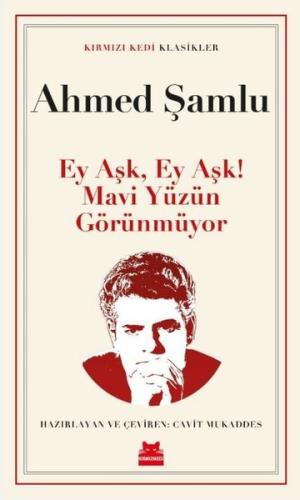 Ey Aşk Ey Aşk! Mavi Yüzün Görünmüyor | Kitap Ambarı