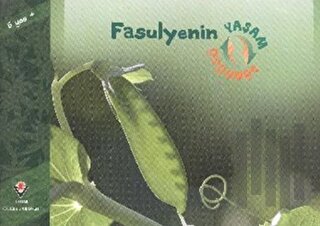 Fasulyenin Yaşam Döngüsü | Kitap Ambarı