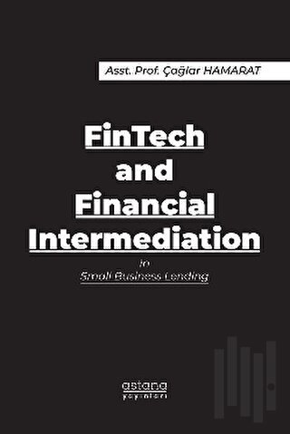 FinTech and Financial Intermediation in Small Business Lending | Kitap
