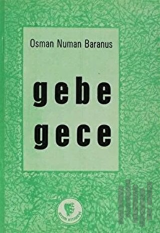 Gebe Gece | Kitap Ambarı