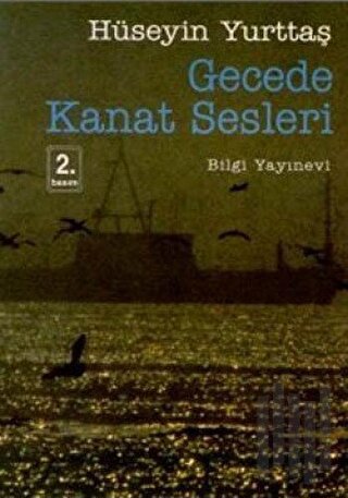 Gecede Kanat Sesleri