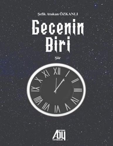 Gecenin Biri