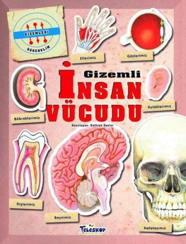 Gizemleri Öğrenelim - Gizemli İnsan Vücudu | Kitap Ambarı
