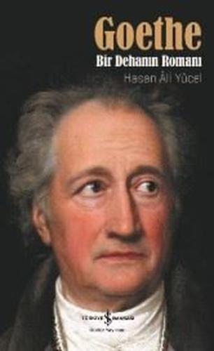 Goethe: Bir Dehanın Romanı | Kitap Ambarı