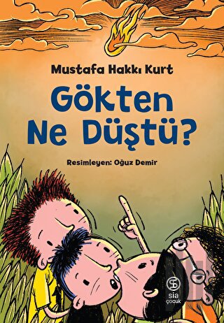 Gökten Ne Düştü? | Kitap Ambarı