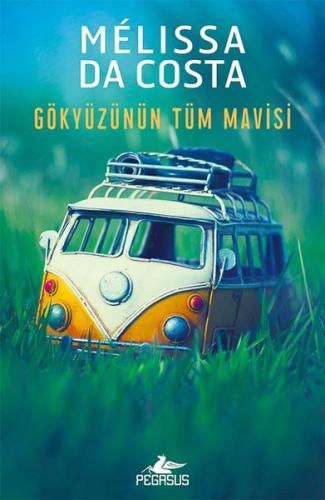 Gökyüzünün Tüm Mavisi