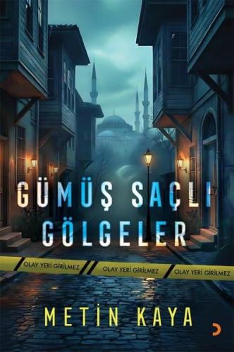 Gümüş Saçlı Gölgeler | Kitap Ambarı