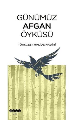 Günümüz Afgan Öyküsü | Kitap Ambarı