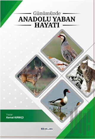 Günümüzde Anadolu Yaban Hayatı