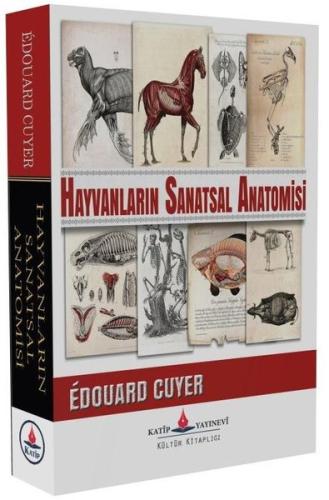 Hayvanların Sanatsal Anatomisi
