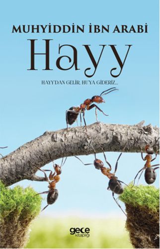 Hayy | Kitap Ambarı