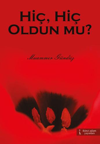 Hiç Hiç Oldun mu?