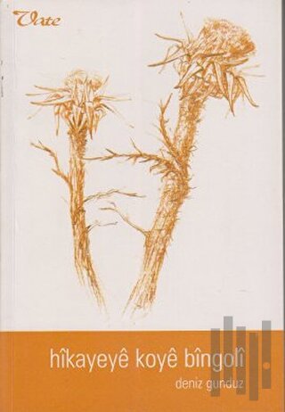 Hikayeye Koye Bingoli | Kitap Ambarı