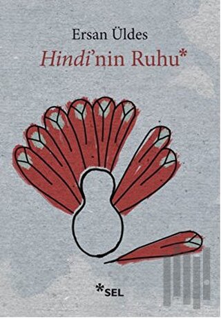 Hindi’nin Ruhu | Kitap Ambarı