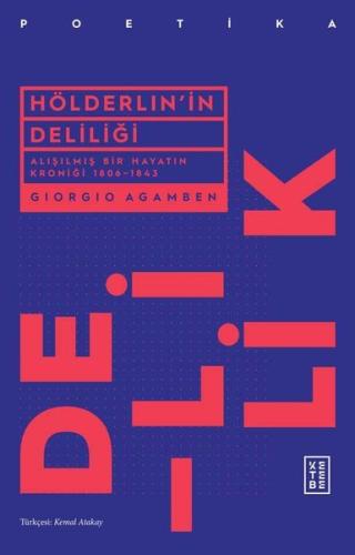 Hölderlin'in Deliliği | Kitap Ambarı