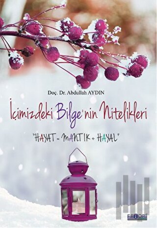 İçimizdeki Bilgenin Nitelikleri