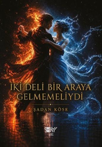 İki Deli Bir Araya Gelmemeliydi | Kitap Ambarı