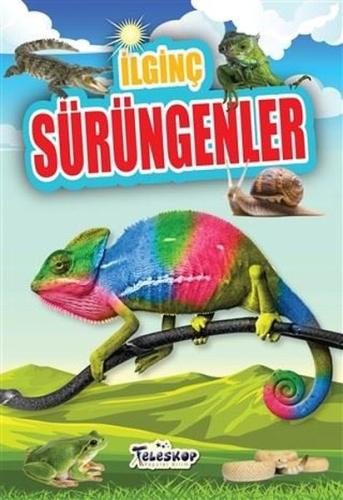 İlginç Sürüngenler | Kitap Ambarı
