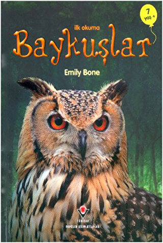 İlk Okuma - Baykuşlar | Kitap Ambarı