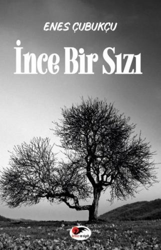 İnce Bir Sızı | Kitap Ambarı