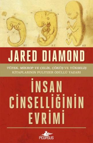 İnsan Cinselliğinin Evrimi - Ciltsiz | Kitap Ambarı