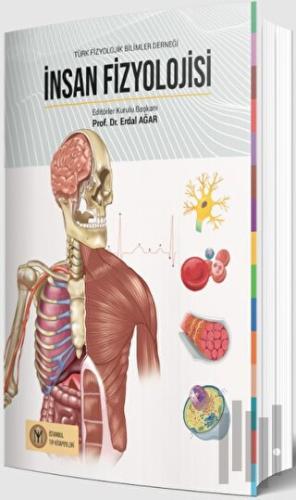 İnsan Fizyolojisi