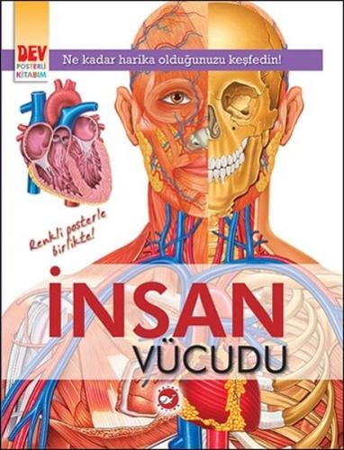 İnsan Vücudu | Kitap Ambarı