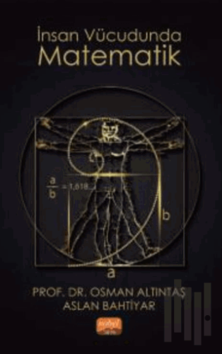 İnsan Vücudunda Matematik