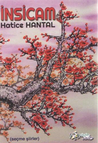 İnsicam | Kitap Ambarı