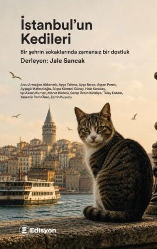 İstanbul'un Kedileri | Kitap Ambarı