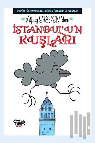 İstanbul'un Kuşları | Kitap Ambarı