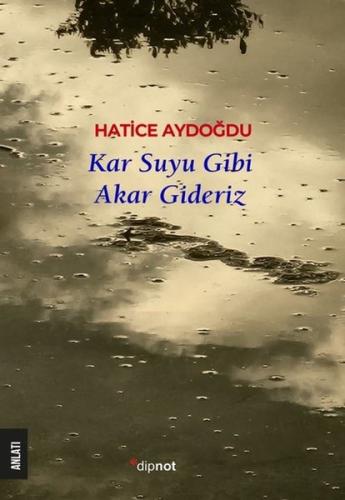 Kar Suyu Gibi Akar Gideriz | Kitap Ambarı