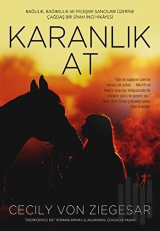 Karanlık At | Kitap Ambarı