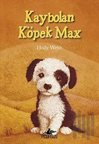 Kaybolan Köpek Max | Kitap Ambarı
