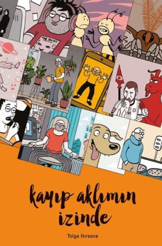 Kayıp Aklımın İzinde | Kitap Ambarı