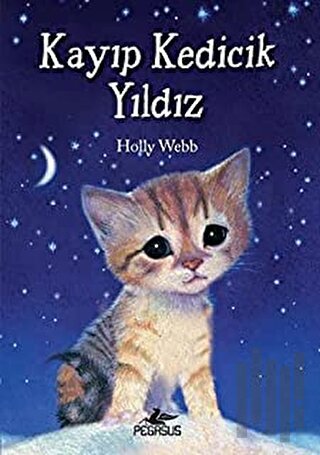 Kayıp Kedicik Yıldız | Kitap Ambarı