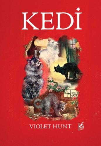 Kedi | Kitap Ambarı