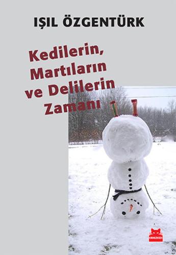 Kedilerin Martıların ve Delilerin Zamanı | Kitap Ambarı