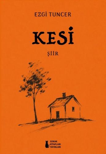Kesi