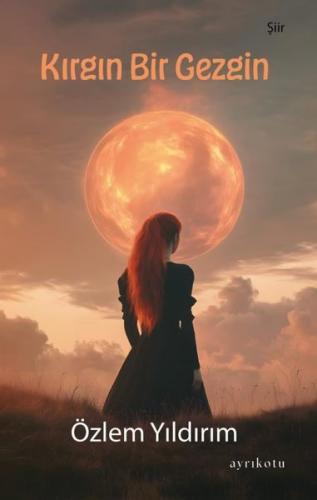 Kırgın Bir Gezgin | Kitap Ambarı
